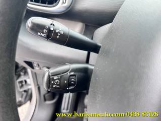 CITROEN C3 Picasso usata, con Fendinebbia