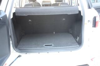 FORD EcoSport usata, con Vetri oscurati
