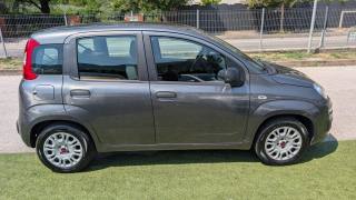 FIAT Panda usata, con Climatizzatore