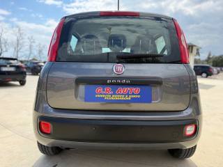 FIAT Panda usata, con Chiusura centralizzata