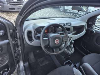 FIAT Panda usata, con Servosterzo