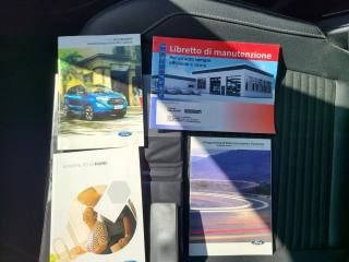 FORD EcoSport usata, con Antifurto