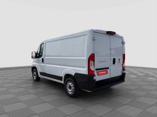FIAT Ducato usata 2
