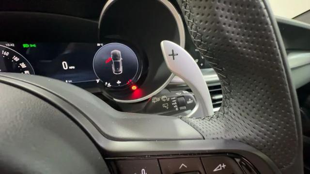 ALFA ROMEO Stelvio usata, con Chiusura centralizzata