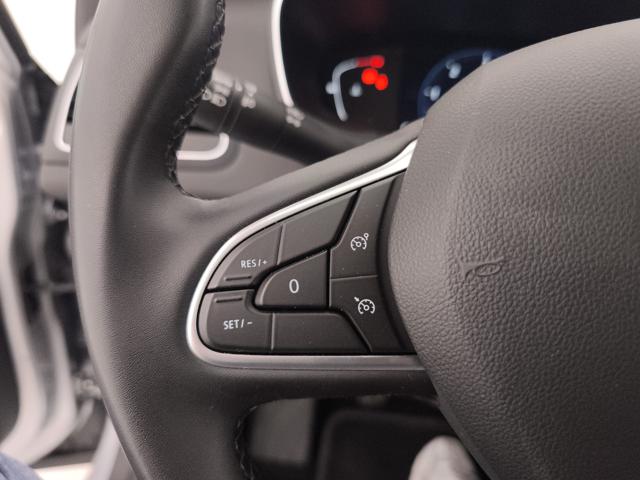 RENAULT Megane usata, con Fendinebbia