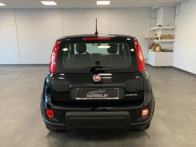 FIAT Panda usata, con Antifurto
