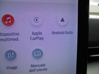 FORD Mustang Mach-E usata 40