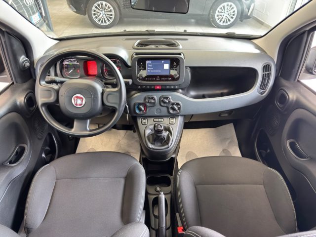 FIAT Panda usata, con Fendinebbia