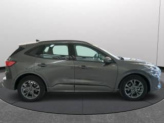 FORD Kuga usata, con Leve al volante