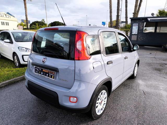 FIAT Panda usata, con Antifurto