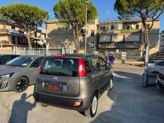 FIAT Panda usata, con Antifurto