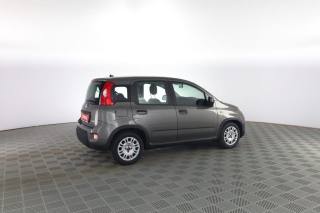 FIAT Panda usata 2