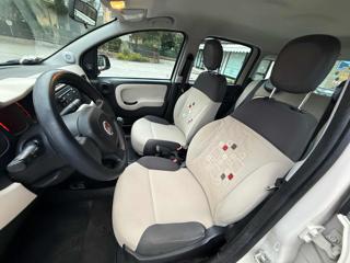 FIAT Panda usata 16