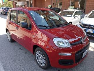 FIAT Panda usata, con Airbag Passeggero