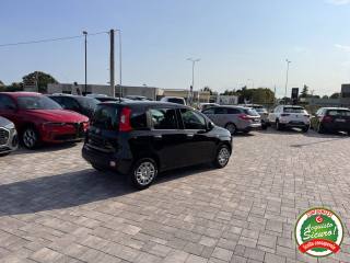 FIAT Panda usata, con Controllo trazione