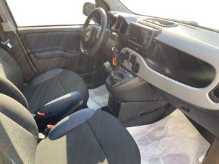 FIAT Panda Cross usata, con ESP