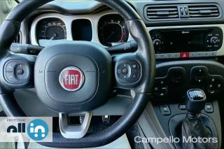 FIAT Panda usata 10