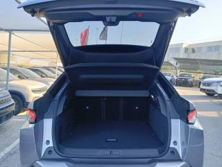 PEUGEOT 3008 usata, con Vetri oscurati