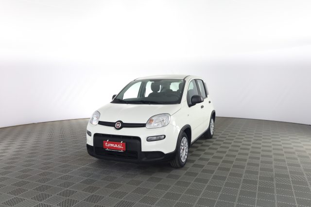 FIAT Panda usata 0