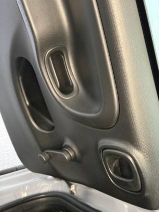 FIAT Panda Cross usata, con ESP