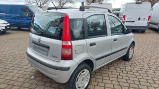 FIAT Panda usata, con Alzacristalli elettrici
