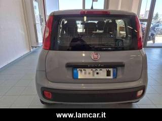 FIAT Panda usata, con Controllo trazione