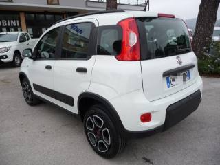 FIAT Panda usata, con Airbag Passeggero