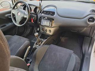 FIAT Punto usata 14