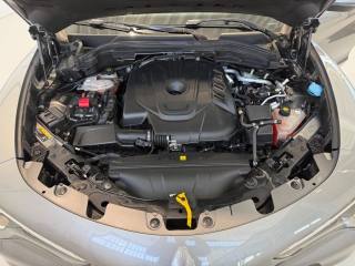ALFA ROMEO Stelvio usata 44