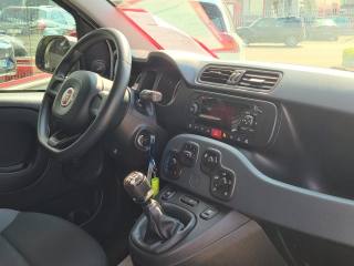 FIAT Panda usata, con ESP