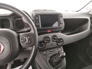 FIAT Panda usata, con Controllo trazione