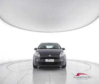 FIAT Punto usata 4