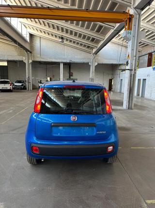 FIAT Panda usata, con Vivavoce