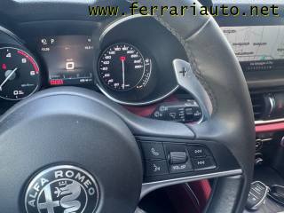 ALFA ROMEO Stelvio usata, con Fendinebbia