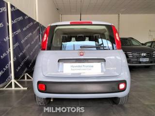 FIAT Panda usata, con Controllo trazione