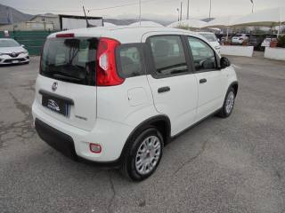 FIAT Panda usata 14