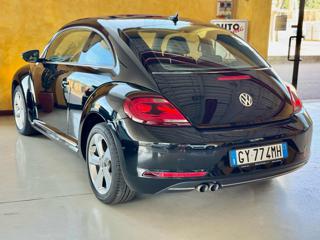 VOLKSWAGEN Maggiolino usata, con Airbag Passeggero