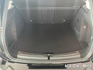 MINI Countryman usata, con Controllo vocale