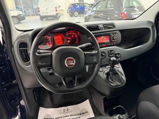 FIAT Panda usata 12