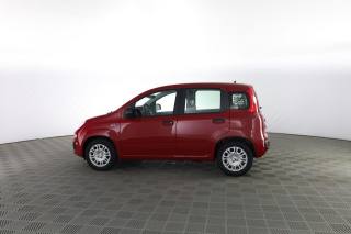 FIAT Panda usata 5