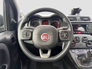 FIAT Panda usata 12