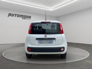 FIAT Panda usata 4