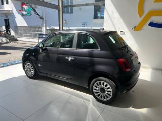 FIAT 500 usata, con Cronologia tagliandi
