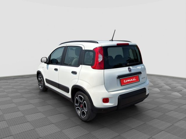 FIAT Panda usata 2