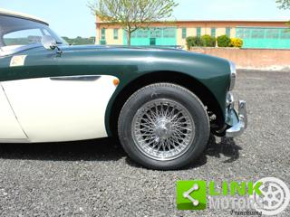 AUSTIN Healey usata 17