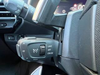 DS AUTOMOBILES DS 7 usata 17