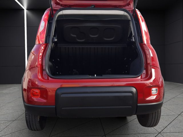 FIAT Panda usata, con Airbag testa