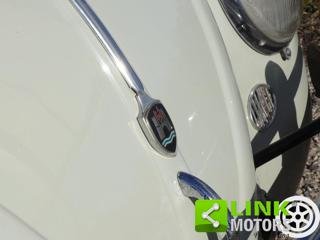 VOLKSWAGEN Maggiolino usata 8