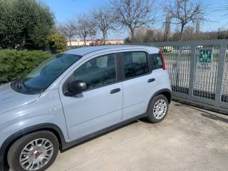 FIAT Panda usata, con Antifurto