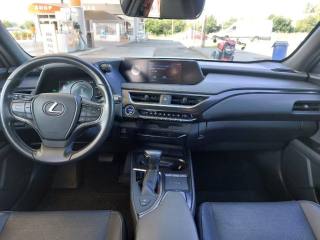 LEXUS UX 250h usata, con Fendinebbia